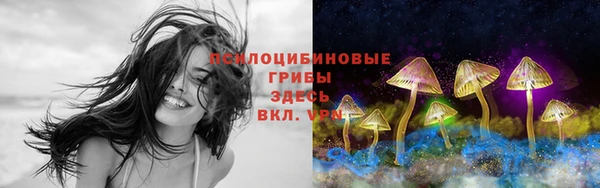 ГАЛЛЮЦИНОГЕННЫЕ ГРИБЫ Абинск