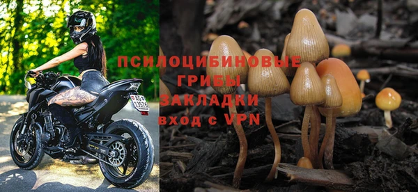мяу мяу мука Абаза