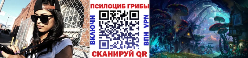 ссылка на мегу онион  купить наркотики цена  Нариманов  Псилоцибиновые грибы Psilocybe 
